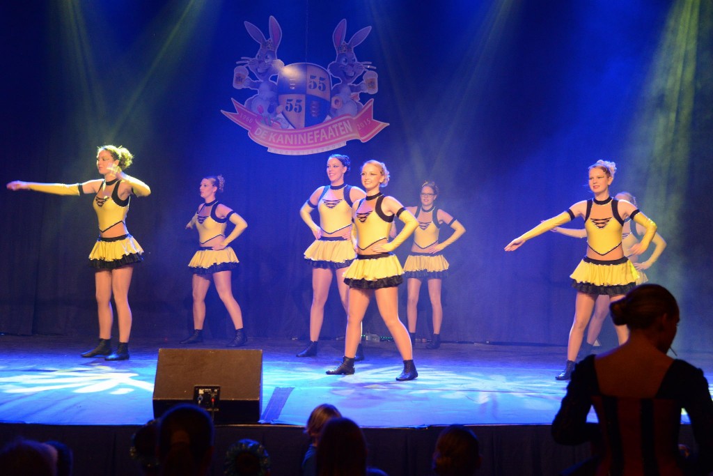 ../Images/Dansmarieke festival 2015 193.jpg